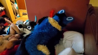 Brff Murrsuit Orgy Party